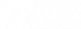 Vtex® logo